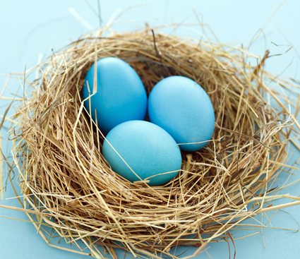 Easter-egg-in-the-nest_1600x1200